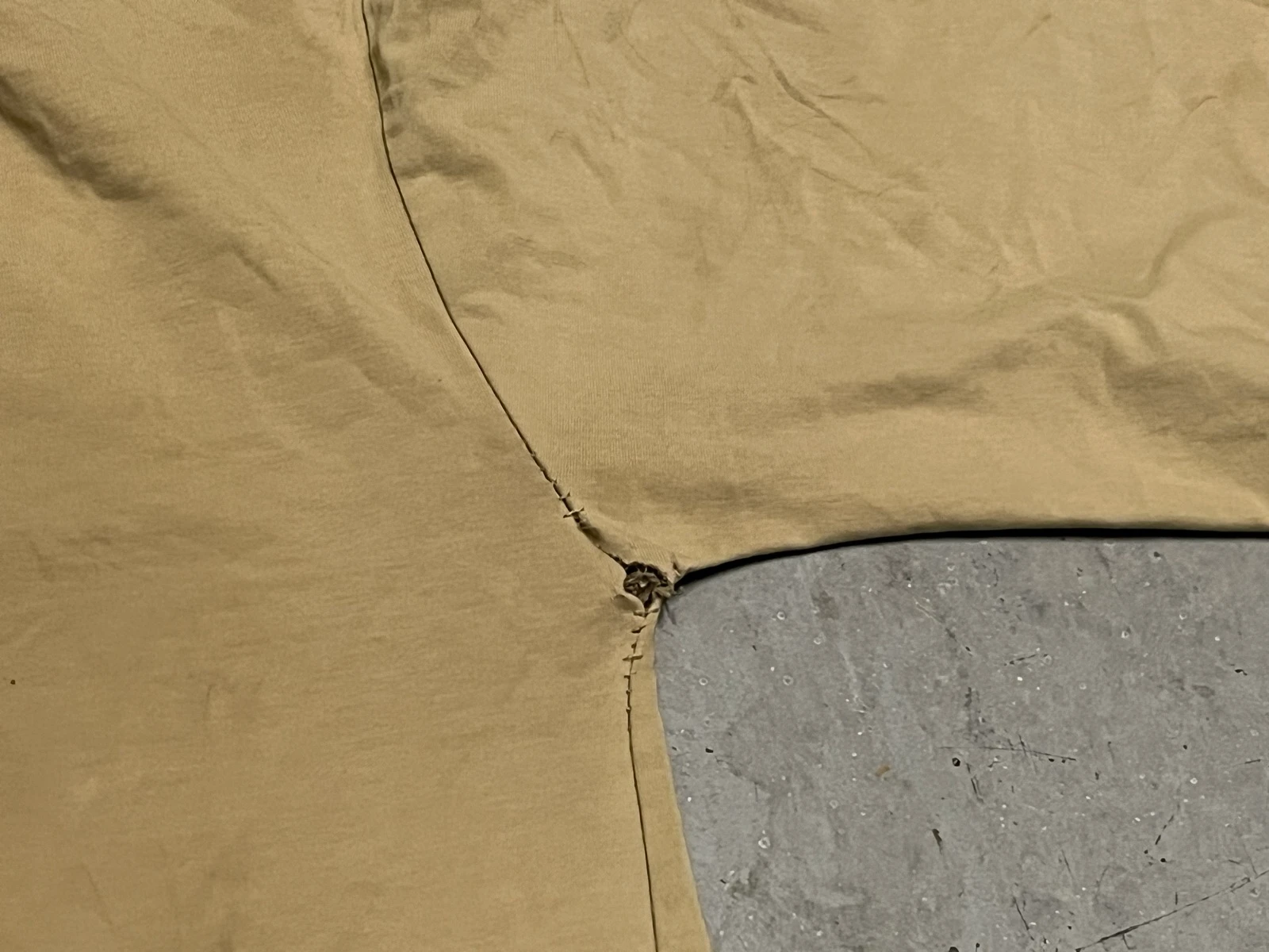 Camiseta con bordados Lacoste – photo 14
